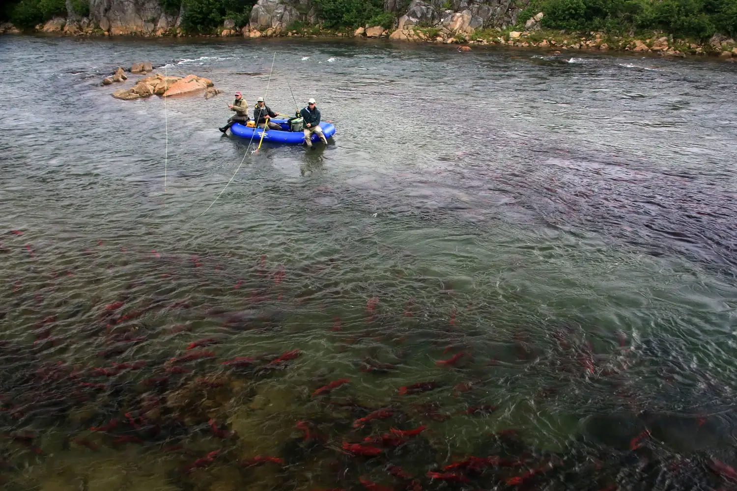 Two anglers fishing in river - Intricate Bay Outpost